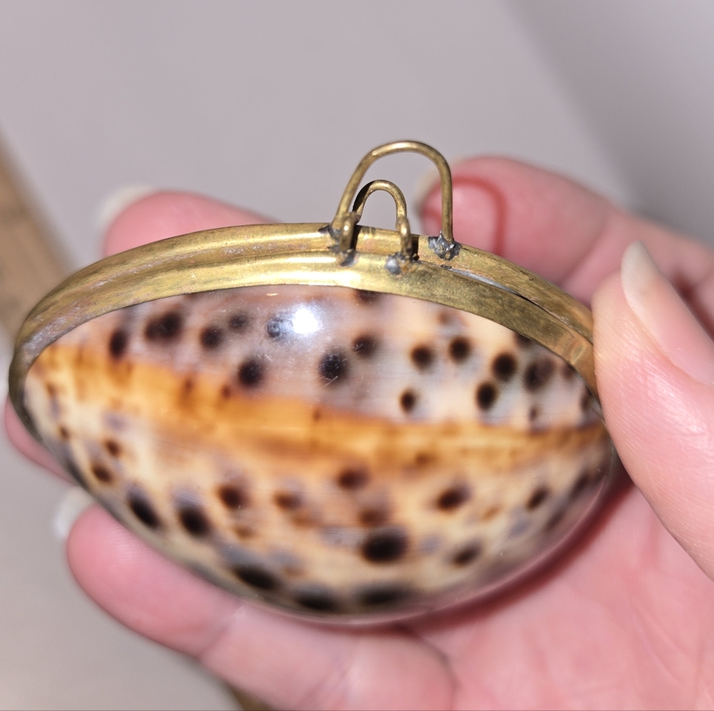 Tiger Cowrie Shell Trinket Box - Picture 4 of 7